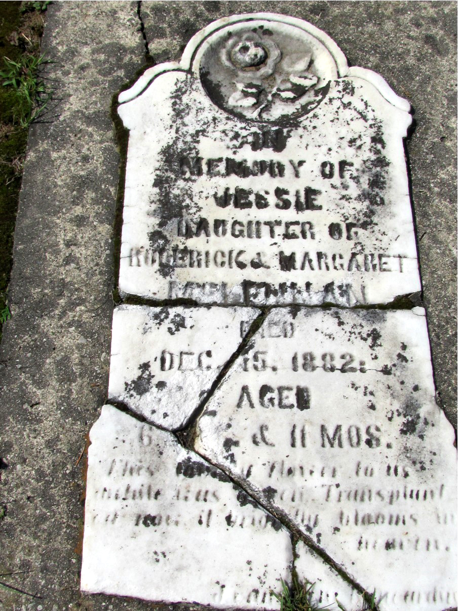 Photo of headstones/Jessie McLennan d1882 hdstn Stokes Bay cem ON